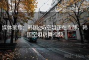 媒体聚焦：韩国g奶空姐正在发酵，韩国空姐跳舞视频