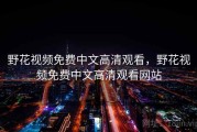 野花视频免费中文高清观看，野花视频免费中文高清观看网站