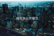 探花未公开细节