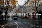 新91视频热度榜前十名，91kpindao