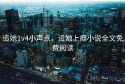 追她1v4小声点，追她上瘾小说全文免费阅读
