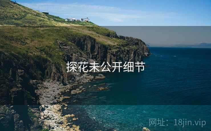 探花未公开细节