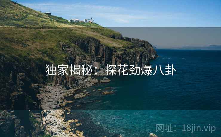 独家揭秘：探花劲爆八卦