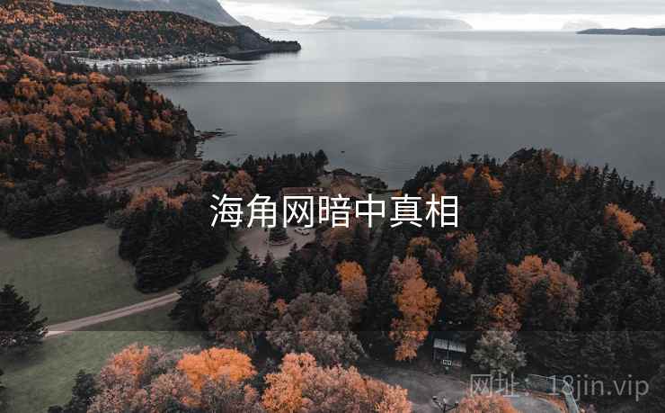 海角网暗中真相