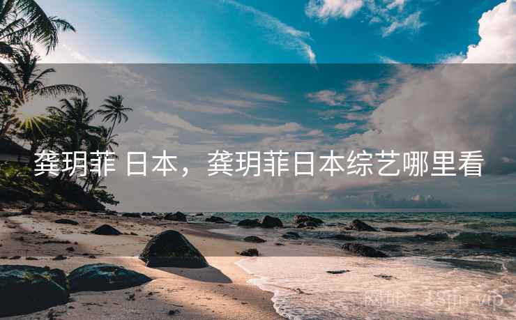 龚玥菲 日本，龚玥菲日本综艺哪里看